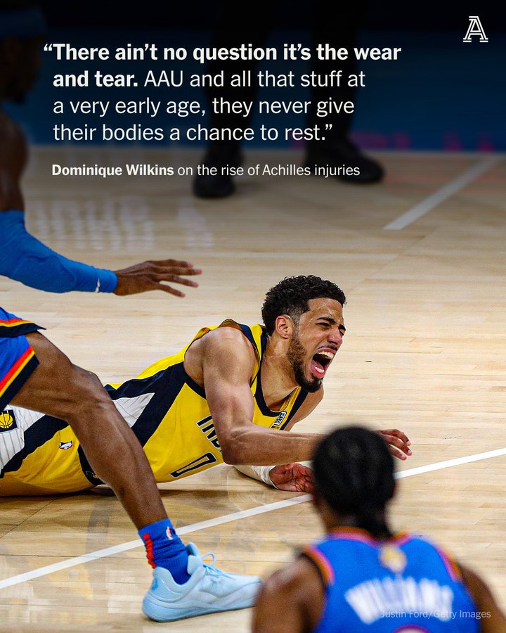 威尔金斯谈哈利跟腱撕裂：现在的球员磨损太大，乔科都会让身体休息